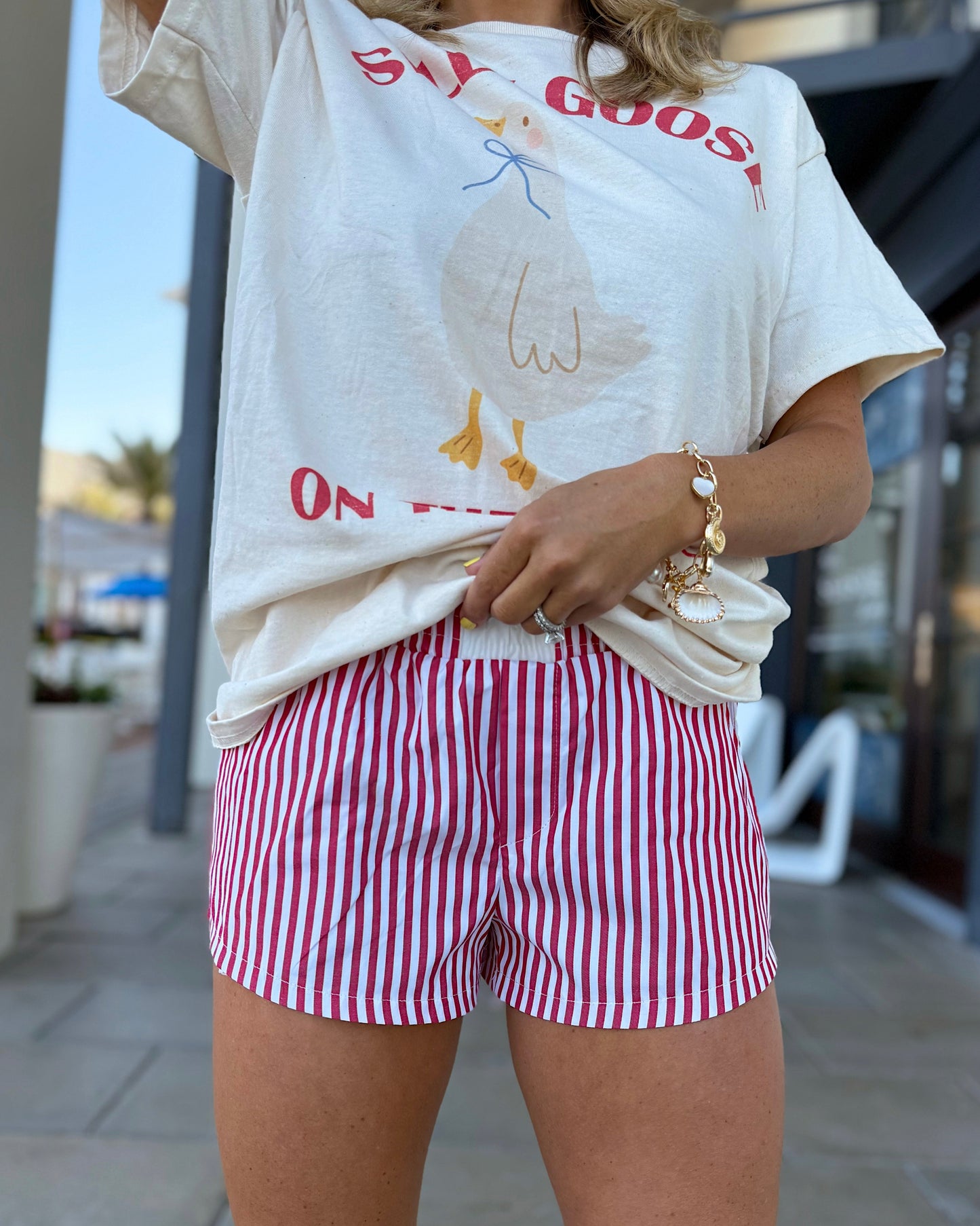 Silly Goose On The Loose Graphic Tee